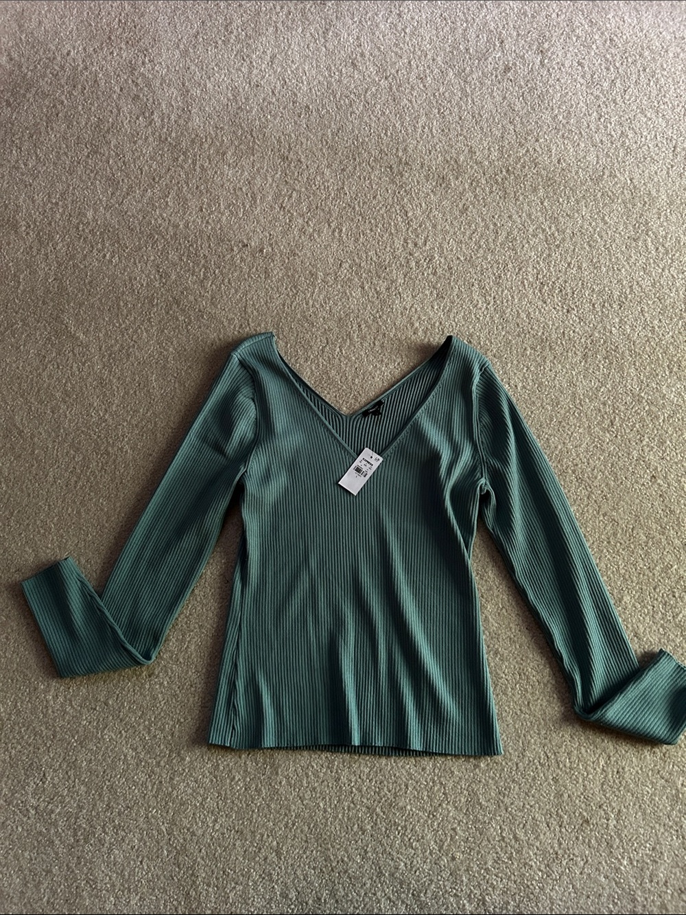 Express Ribbed V-Neck Long Sleeve Top - Green